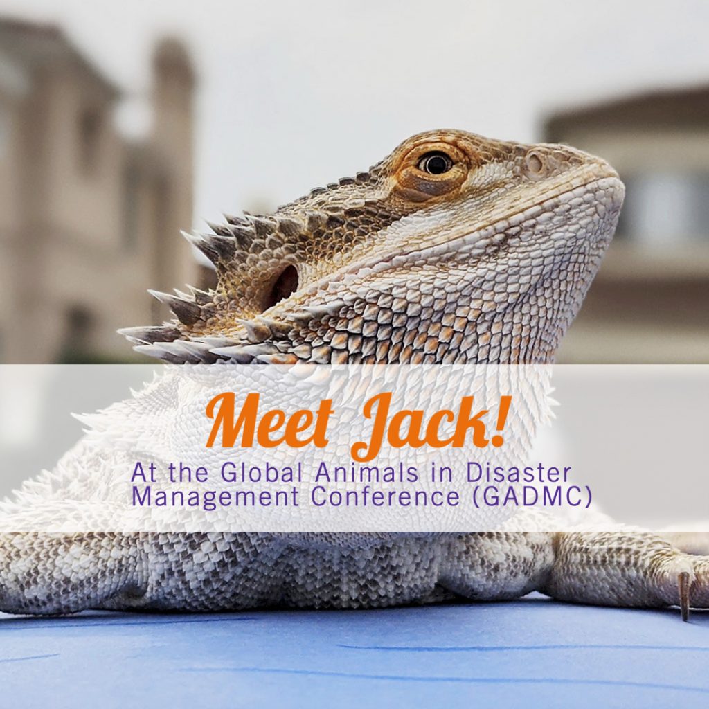 Meet Jack at GADMC